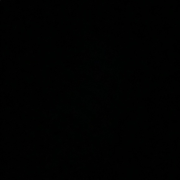 Meet your Posher, Fifi - Picture 1 of 1